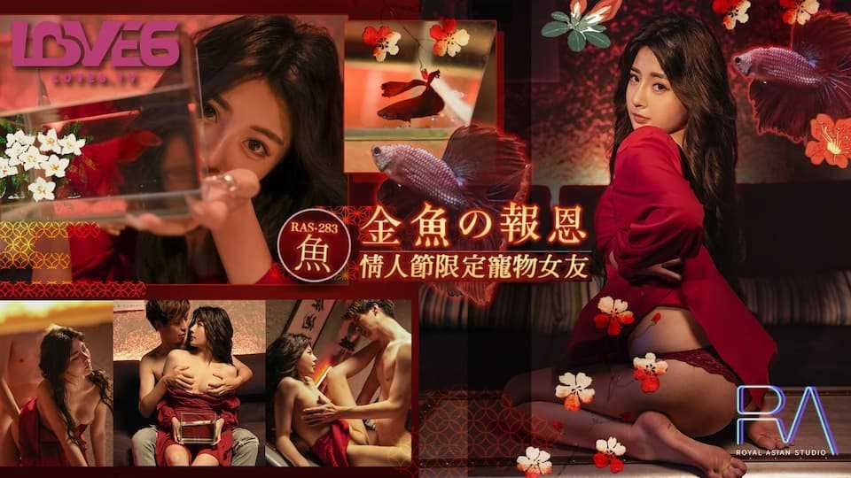 金鱼的报恩 情人节限定宠物女友 (RAS-283)