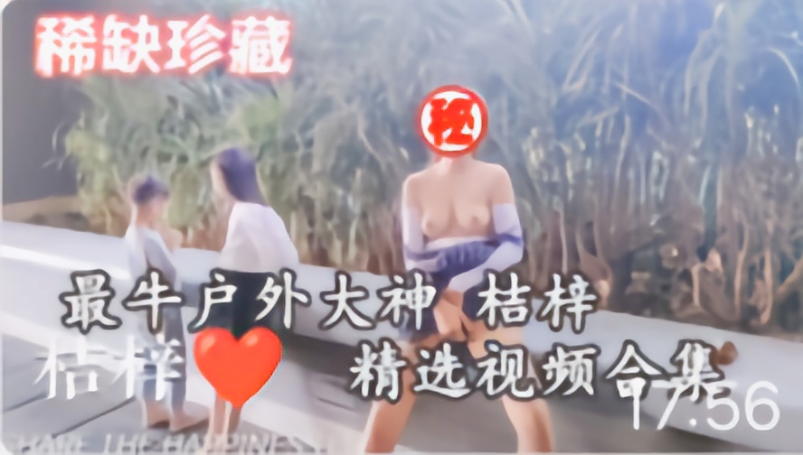 稀缺珍藏户外大˙神精选视频合集