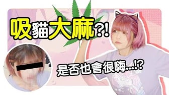 吸貓的大麻『貓草』！意外找到了新世界！