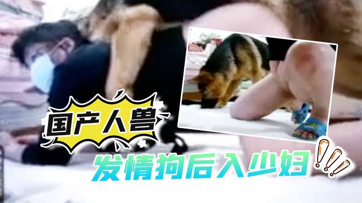 【国产人兽】发情狗后入少妇还自拍视频重口味