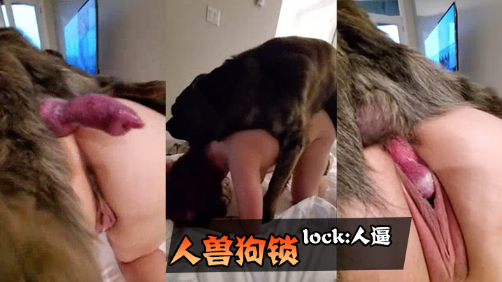 欧美风范  »   人兽狗锁重口味