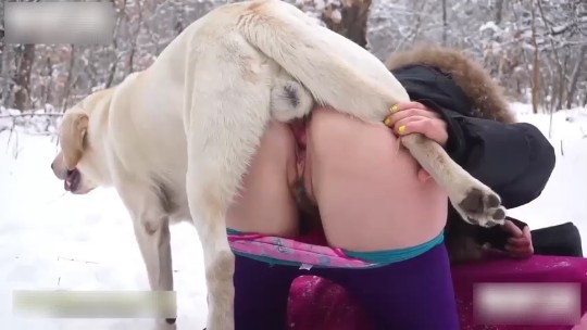 美女冰天雪地里与公狗交配重口味