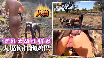 野外大战比特犬人逼锁狗屌重口味