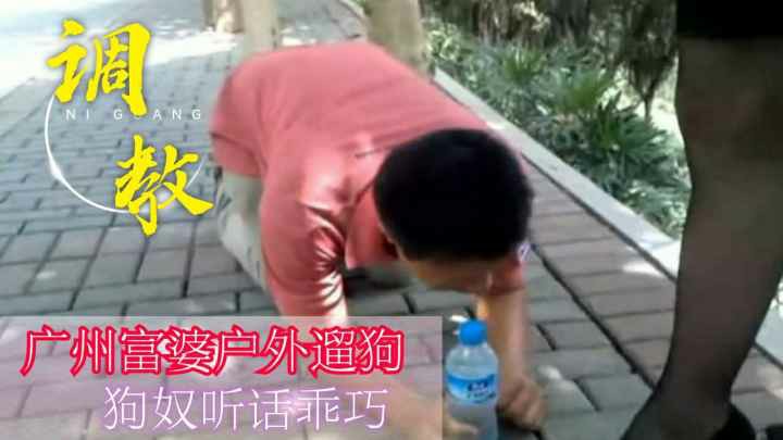 国产重口~广州富婆户外遛狗重口